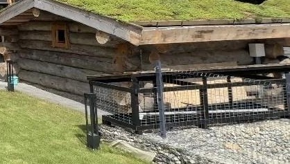 Парная из сухостойной сосны кело